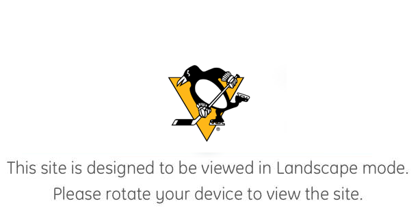 Landscape is the valid orientation
